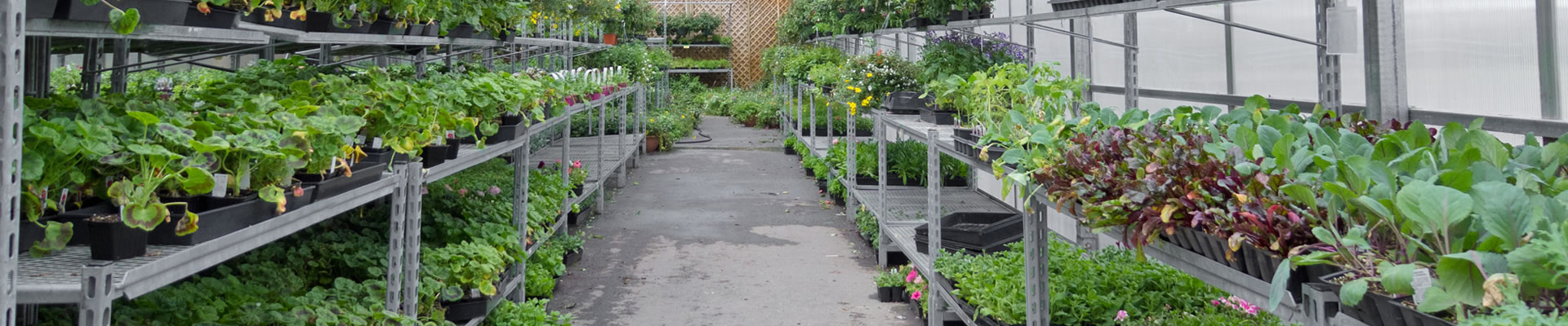 POS system for garden centers. Cloud-based point of sale and all in one business management system for garden centers. 24/7 support.