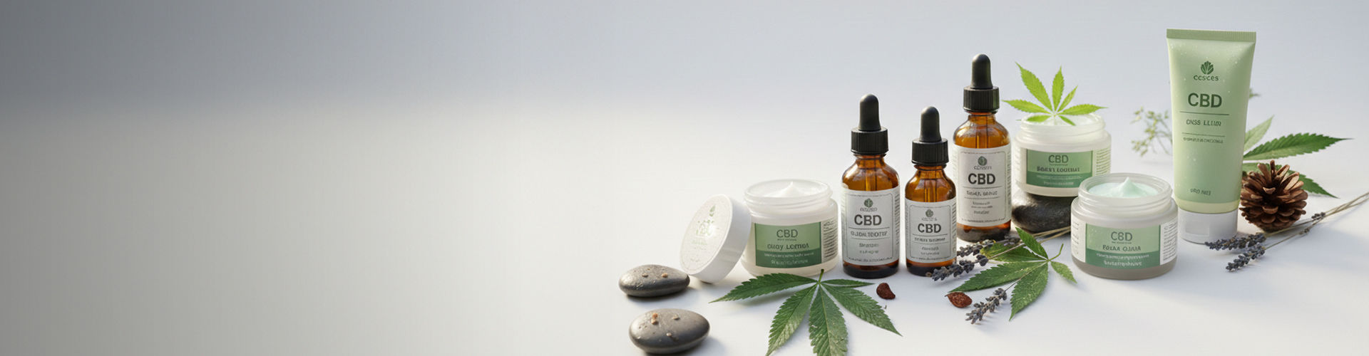 Sunfire POS cloud based point of sale software and All-In-One retail business management solutions for CBD.