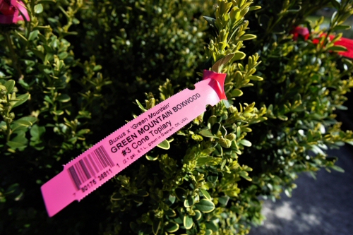 Sunfire POS system integrated with Specialty Tag and Label printer for nursery plant tags.